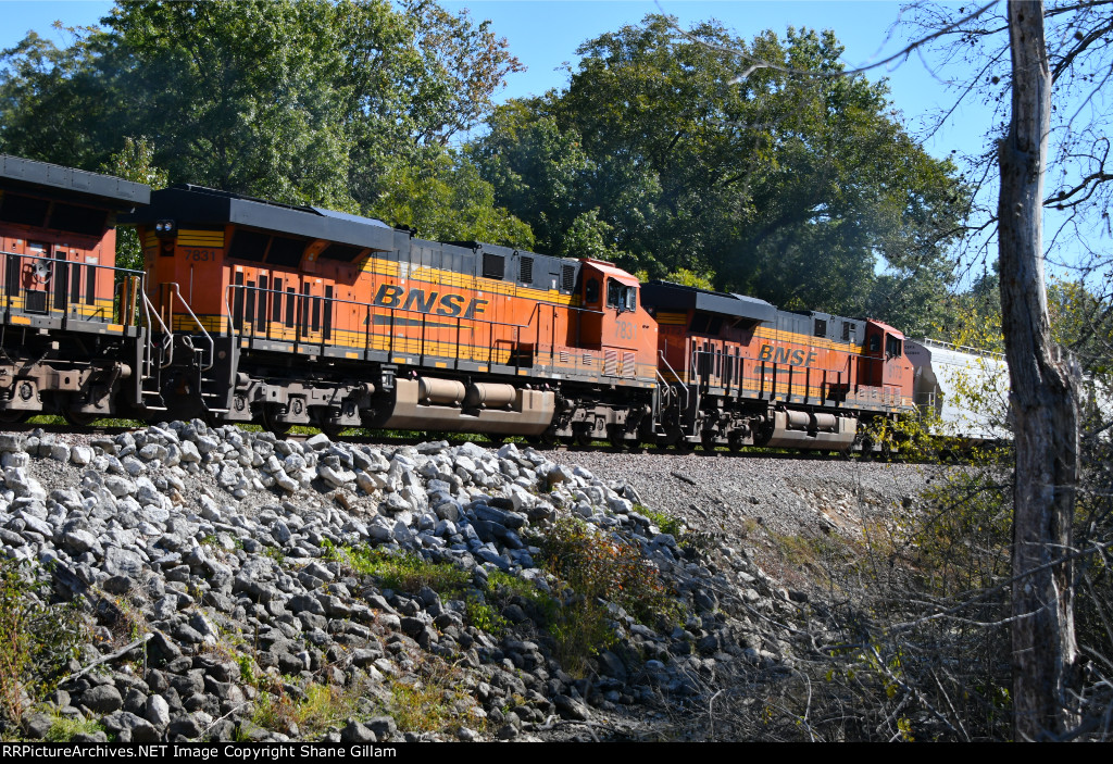 BNSF 7831 Roster shot